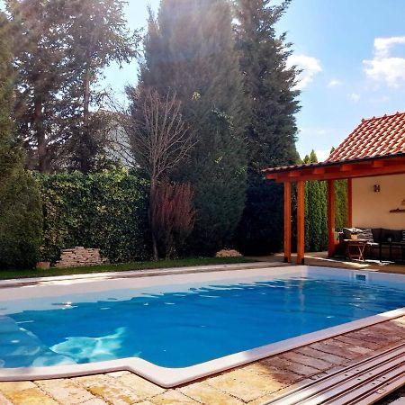 Vinosady Canadian Style House With 3D Effect Pool المظهر الخارجي الصورة