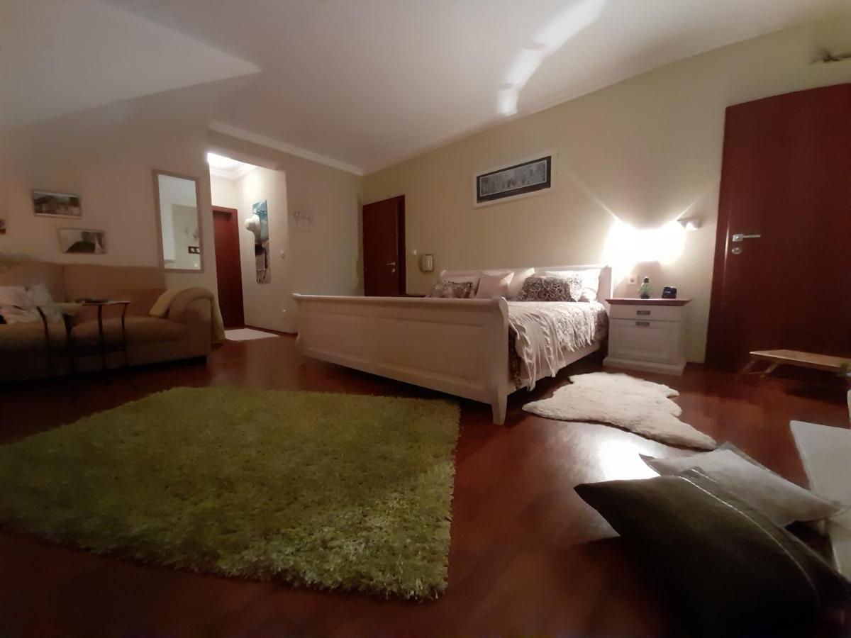 Vinosady Canadian Style House With 3D Effect Pool المظهر الخارجي الصورة